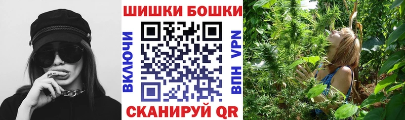 Где найти наркотики Сланцы КОКАИН  ГАШ  МАРИХУАНА 