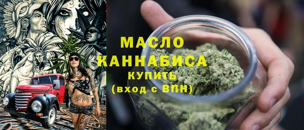 индика Вяземский
