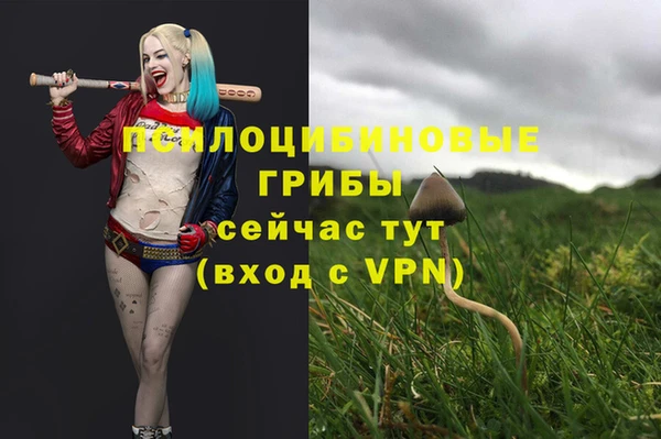 a pvp Арсеньев