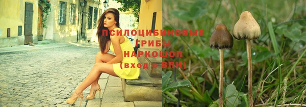 а пвп мука Аркадак