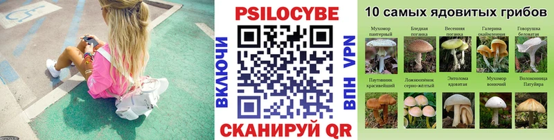 гидра ССЫЛКА  Сланцы  Галлюциногенные грибы мицелий 