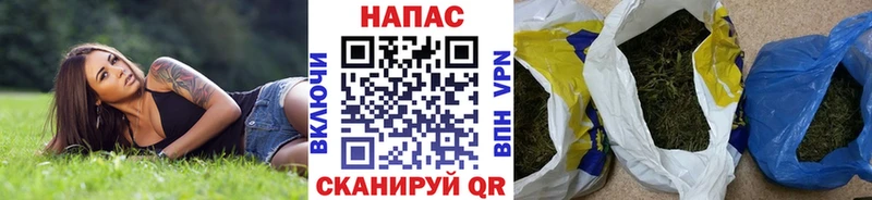 мориарти как зайти купить закладку Сланцы Канабис OG Kush